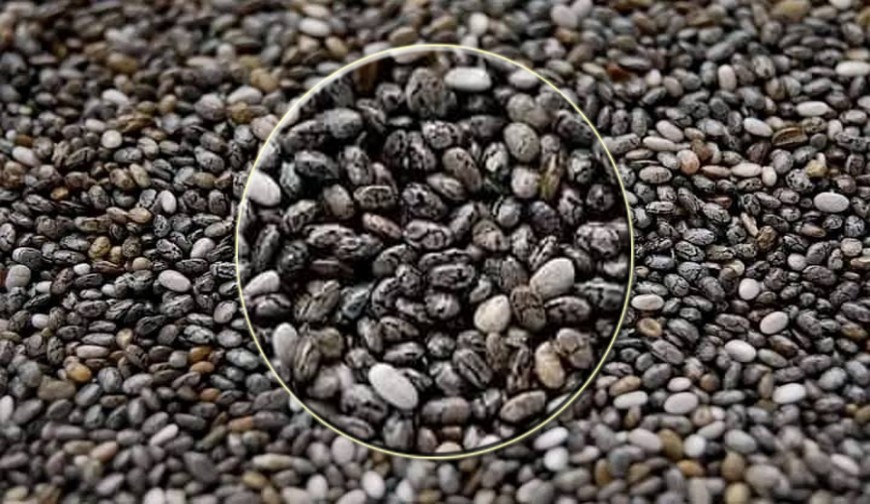 চিয়া বীজ ২০০ গ্রাম